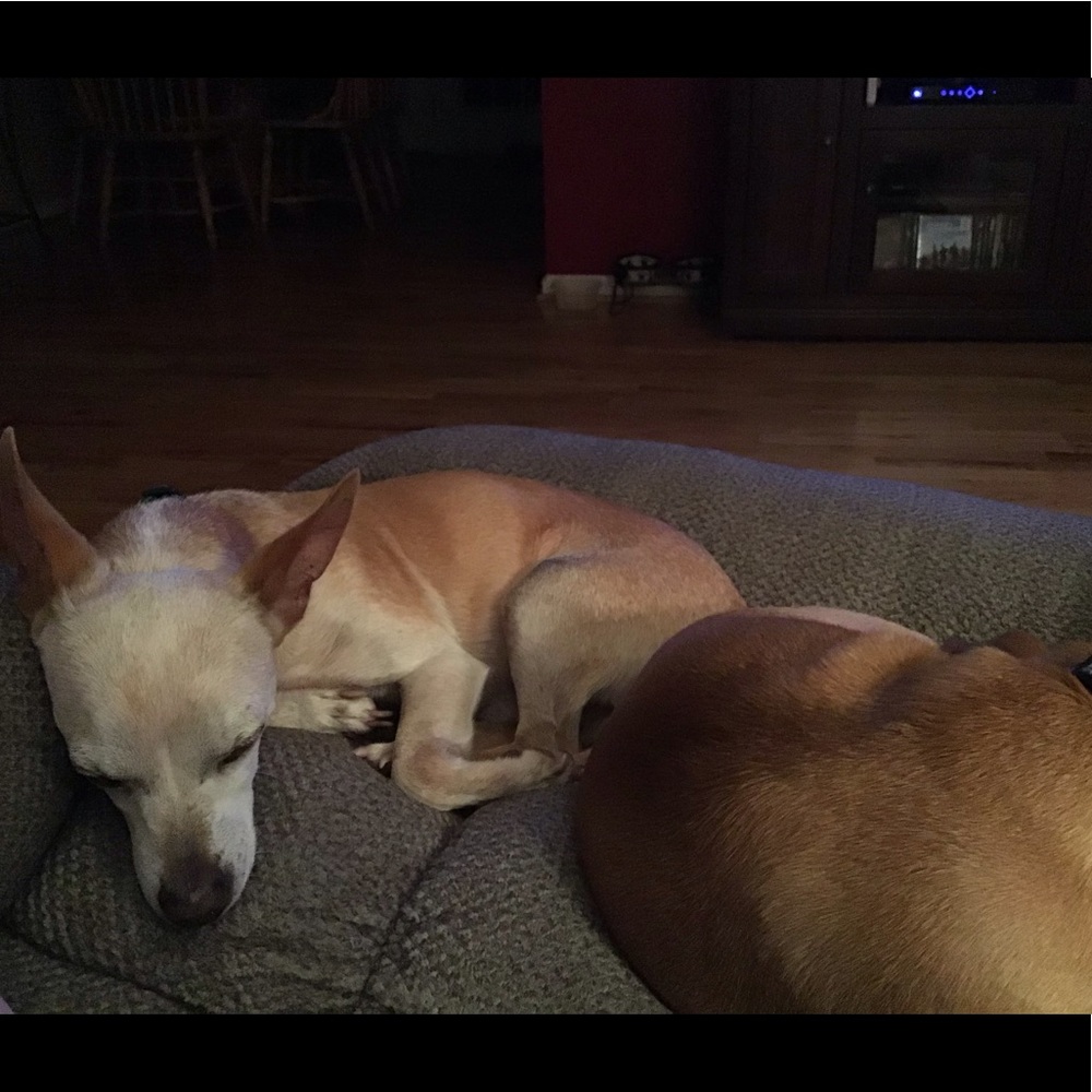 Meet your Posher, Jeanette